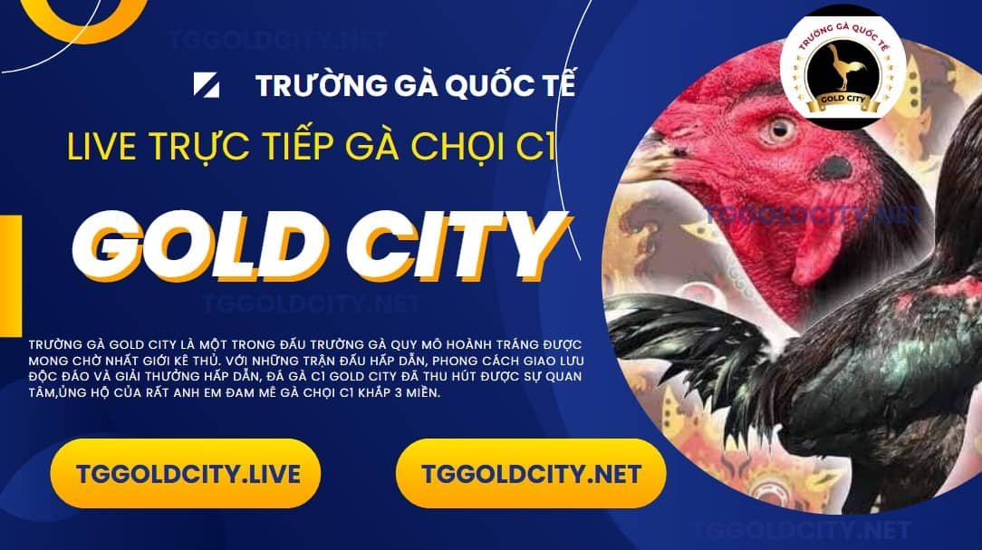 hình ảnh live trường gà gold city