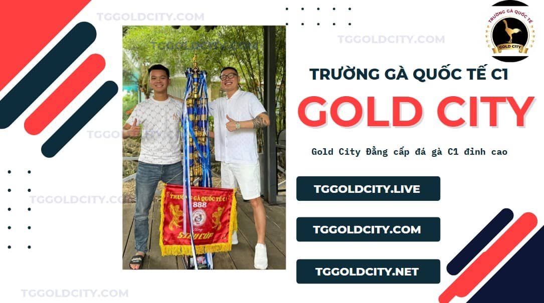 các trang web trực tiếp gold city