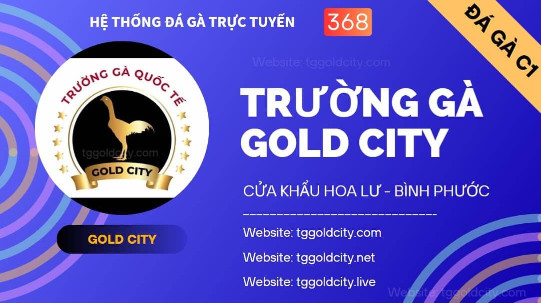 Logo trường gà gold city trên nền xanh