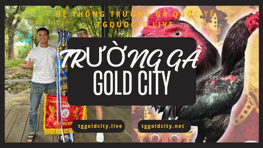 Đá Gà C1 Gold City