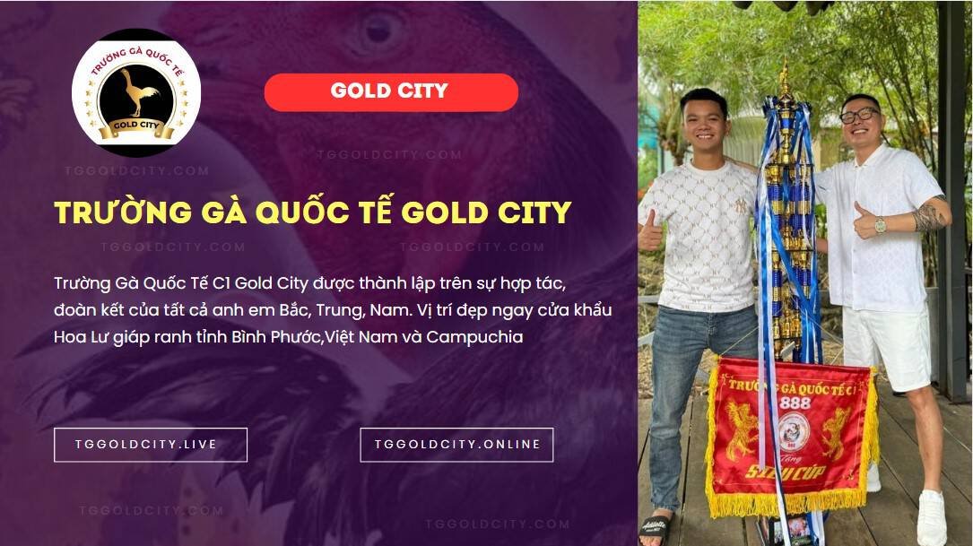 Giới thiệu trường gà gold city